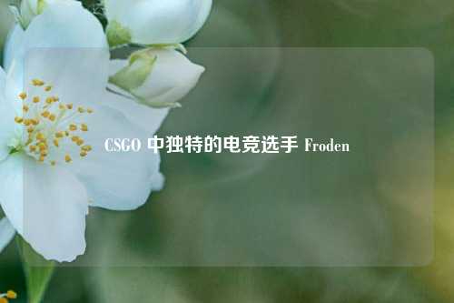 CSGO 中独特的电竞选手 Froden