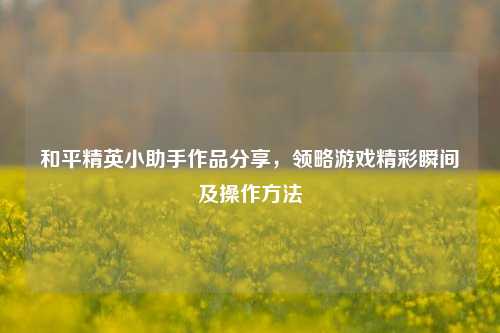 和平精英小助手作品分享,领略游戏精彩瞬间及操作方法