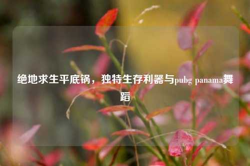 绝地求生平底锅，独特生存利器与pubg panama舞蹈