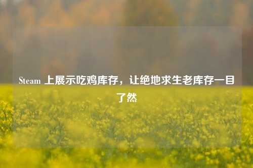 Steam 上展示吃鸡库存，让绝地求生老库存一目了然