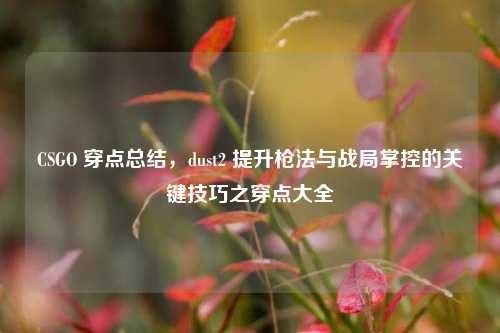 CSGO 穿点总结，dust2 提升枪法与战局掌控的关键技巧之穿点大全