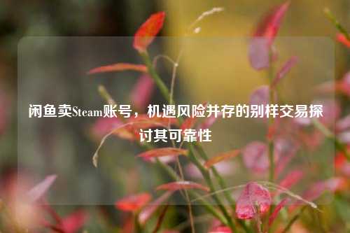 闲鱼卖Steam账号,机遇风险并存的别样交易探讨其可靠性