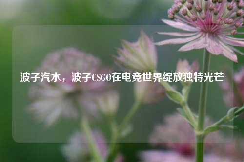 波子汽水,波子CSGO在电竞世界绽放独特光芒