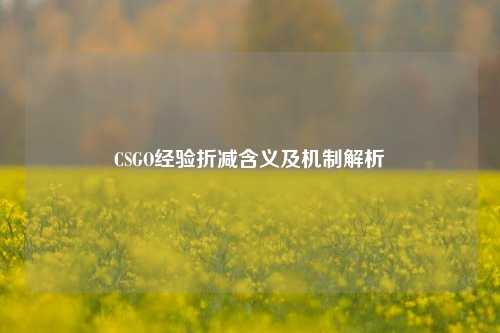 CSGO经验折减含义及机制解析