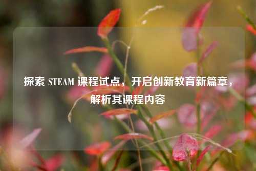 探索 STEAM 课程试点,开启创新教育新篇章,解析其课程内容