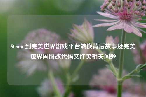 Steam 到完美世界游戏平台转换背后故事及完美世界国服改代码文件夹相关问题