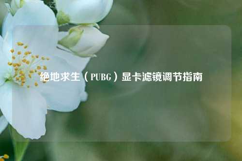 绝地求生(PUBG)显卡滤镜调节指南
