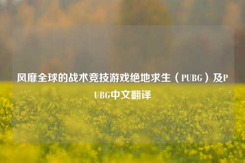 风靡全球的战术竞技游戏绝地求生（PUBG）及PUBG中文翻译