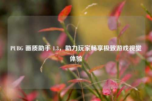 PUBG 画质助手 1.3,助力玩家畅享极致游戏视觉体验