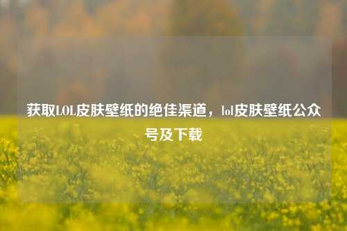 获取LOL皮肤壁纸的绝佳渠道，lol皮肤壁纸公众号及下载