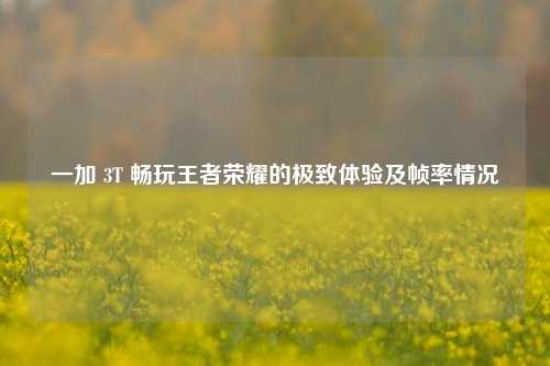 一加 3T 畅玩王者荣耀的极致体验及帧率情况