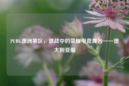 PUBG澳洲赛区,激战中的荣耀电竞舞台——澳大利亚服