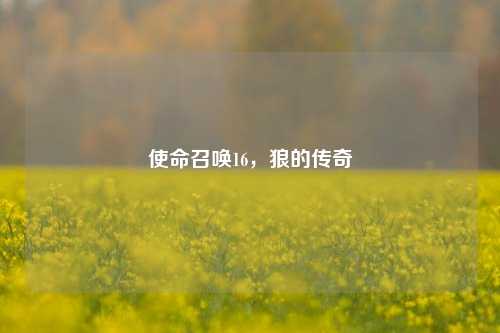 使命召唤16，狼的传奇