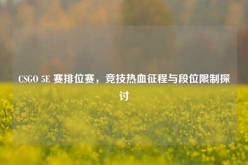 CSGO 5E 赛排位赛,竞技热血征程与段位限制探讨