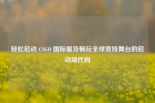轻松启动 CSGO 国际服及畅玩全球竞技舞台的启动项代码