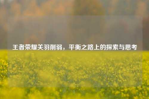 王者荣耀关羽削弱，平衡之路上的探索与思考