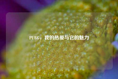 PUBG,我的热爱与它的魅力