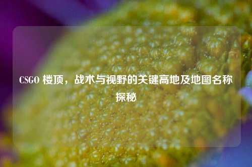 CSGO 楼顶,战术与视野的关键高地及地图名称探秘