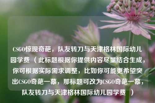 CSGO惊现奇葩，队友转刀与天津格林国际幼儿园学费 （此标题根据你提供内容尽量结合生成，你可根据实际需求调整，比如你可能更希望突出CSGO奇葩一幕，那标题可改为CSGO奇葩一幕，队友转刀与天津格林国际幼儿园学费  ）