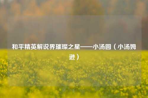 和平精英解说界璀璨之星——小汤圆（小汤姆逊）