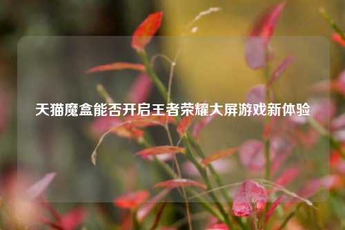 天猫魔盒能否开启王者荣耀大屏游戏新体验