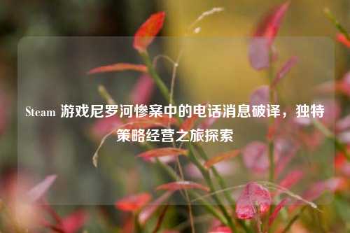 Steam 游戏尼罗河惨案中的电话消息破译，独特策略经营之旅探索