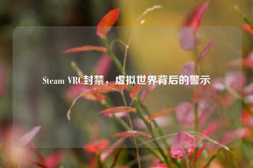 Steam VRC封禁，虚拟世界背后的警示