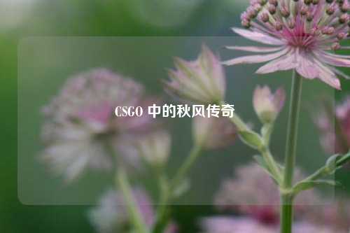 CSGO 中的秋风传奇