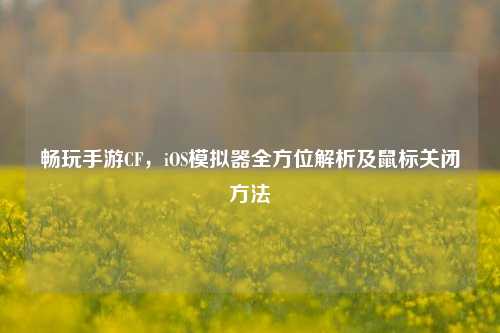 畅玩手游CF,iOS模拟器全方位解析及鼠标关闭方法