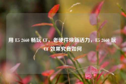 用 E5 2660 畅玩 CF,老硬件焕新活力,E5 2660 玩 CF 效果究竟如何