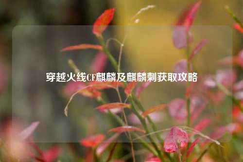 穿越火线CF麒麟及麒麟刺获取攻略
