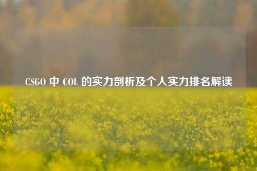 CSGO 中 COL 的实力剖析及个人实力排名解读