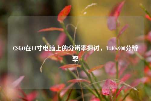 CSGO在14寸电脑上的分辨率探讨,1440x900分辨率