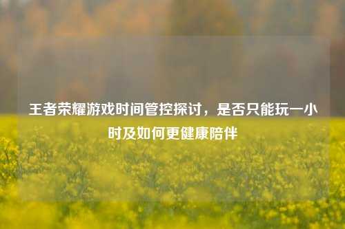 王者荣耀游戏时间管控探讨,是否只能玩一小时及如何更健康陪伴