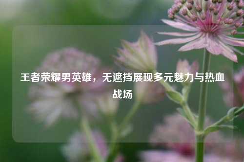 王者荣耀男英雄,无遮挡展现多元魅力与热血战场
