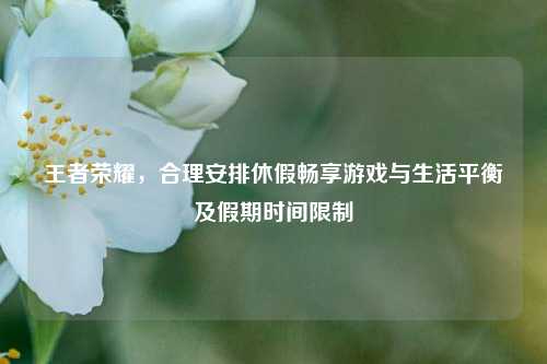 王者荣耀,合理安排休假畅享游戏与生活平衡及假期时间限制