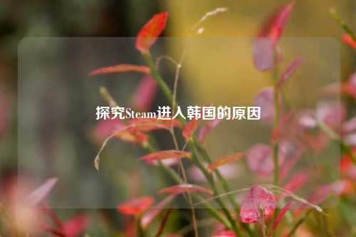 探究Steam进入韩国的原因