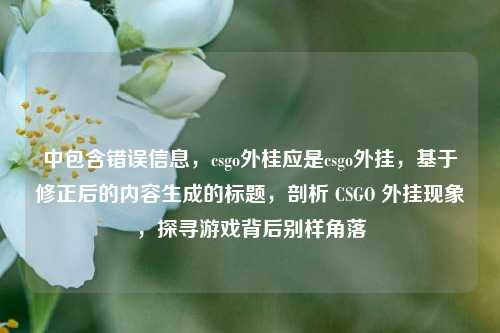 中包含错误信息，csgo外桂应是csgo外挂，基于修正后的内容生成的标题，剖析 CSGO 外挂现象，探寻游戏背后别样角落