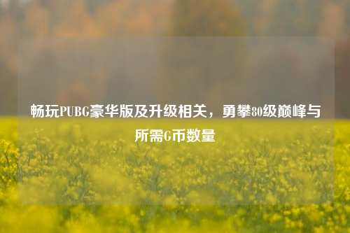 畅玩PUBG豪华版及升级相关,勇攀80级巅峰与所需G币数量