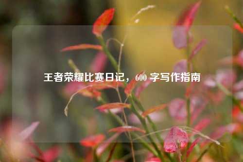 王者荣耀比赛日记,600 字写作指南