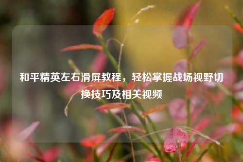 和平精英左右滑屏教程,轻松掌握战场视野切换技巧及相关视频