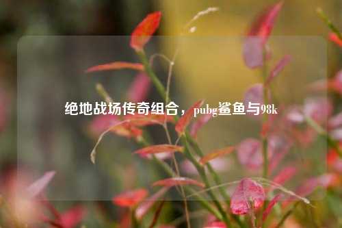 绝地战场传奇组合，pubg鲨鱼与98k