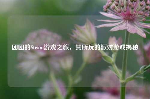 团团的Steam游戏之旅,其所玩的派对游戏揭秘