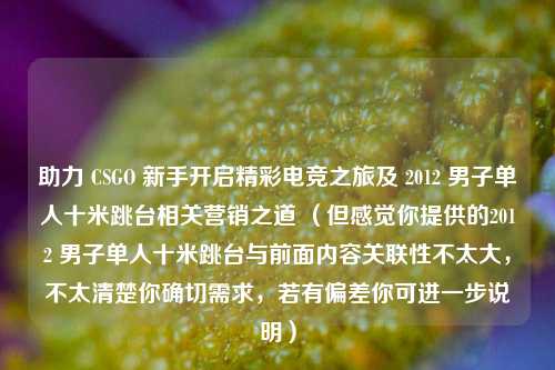 助力 CSGO 新手开启精彩电竞之旅及 2012 男子单人十米跳台相关营销之道 （但感觉你提供的2012 男子单人十米跳台与前面内容关联性不太大，不太清楚你确切需求，若有偏差你可进一步说明）