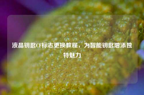 液晶钥匙CF标志更换教程，为智能钥匙增添独特魅力