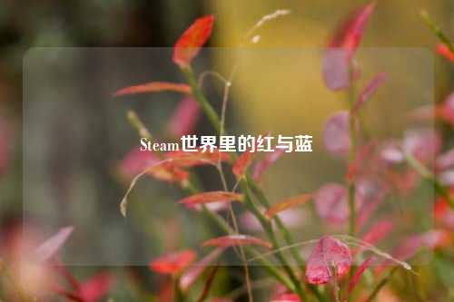 Steam世界里的红与蓝