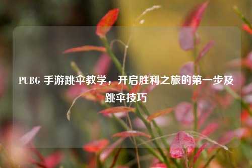 PUBG 手游跳伞教学,开启胜利之旅的第一步及跳伞技巧