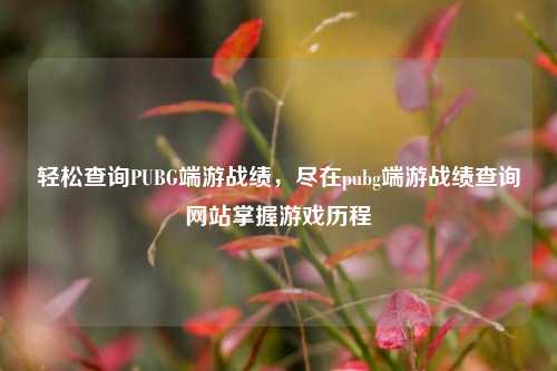 轻松查询PUBG端游战绩，尽在pubg端游战绩查询网站掌握游戏历程