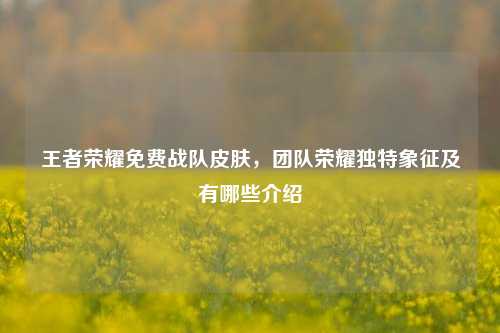王者荣耀免费战队皮肤,团队荣耀独特象征及有哪些介绍