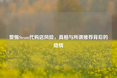 警惕Steam代购店风险，真相与所谓推荐背后的隐情